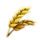 الطعام